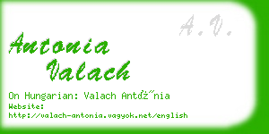 antonia valach business card